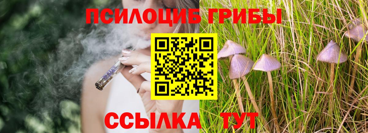 Псилоцибиновые грибы прущие грибы Учалы